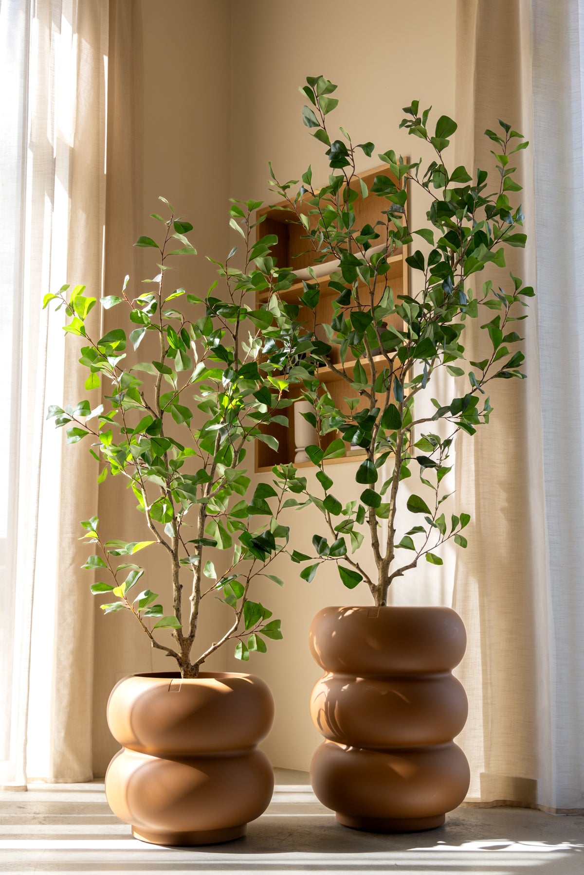 Ficus Triangularis Kunstplant 150cm