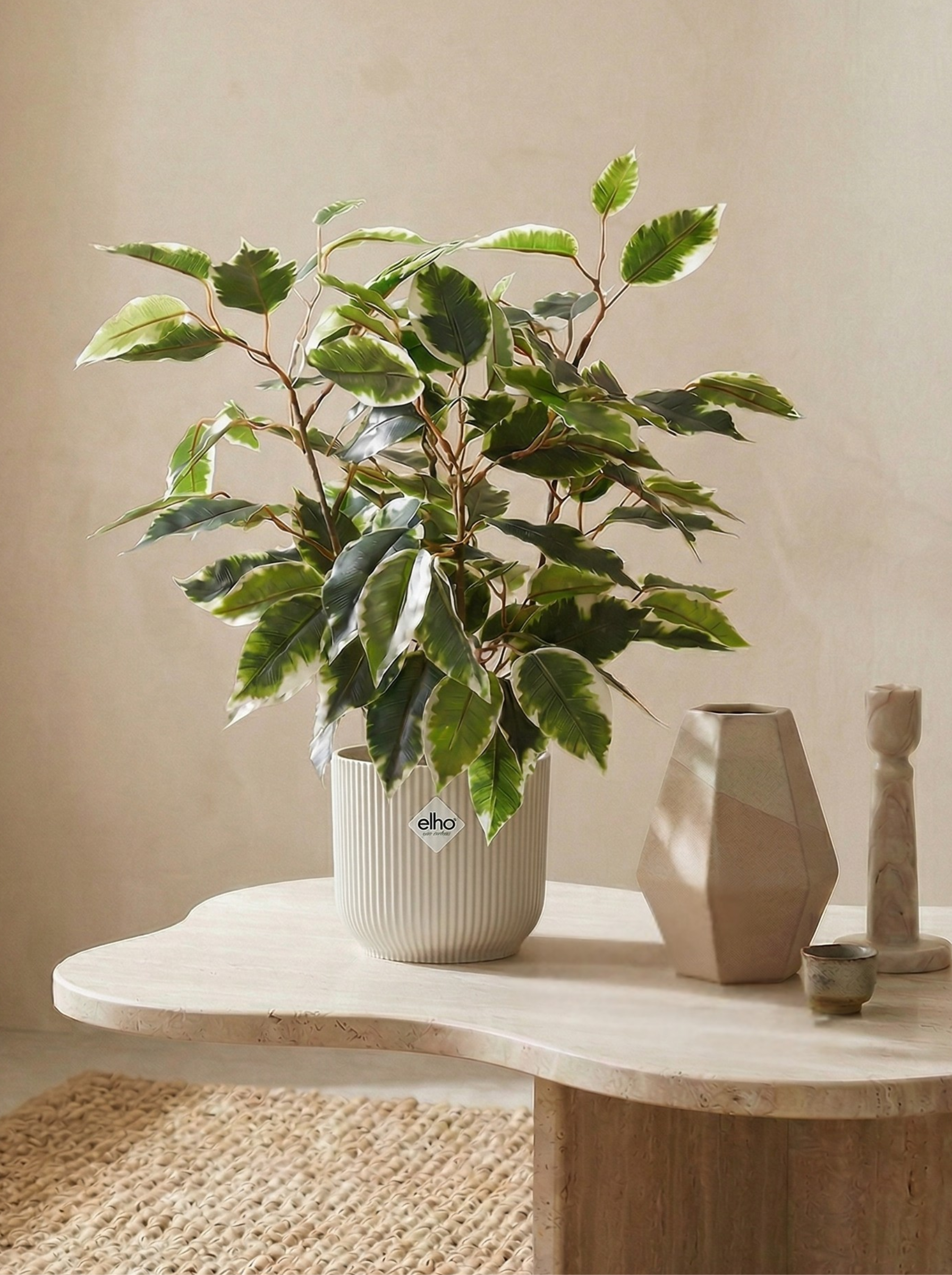 Ficus Kunstplant 40cm