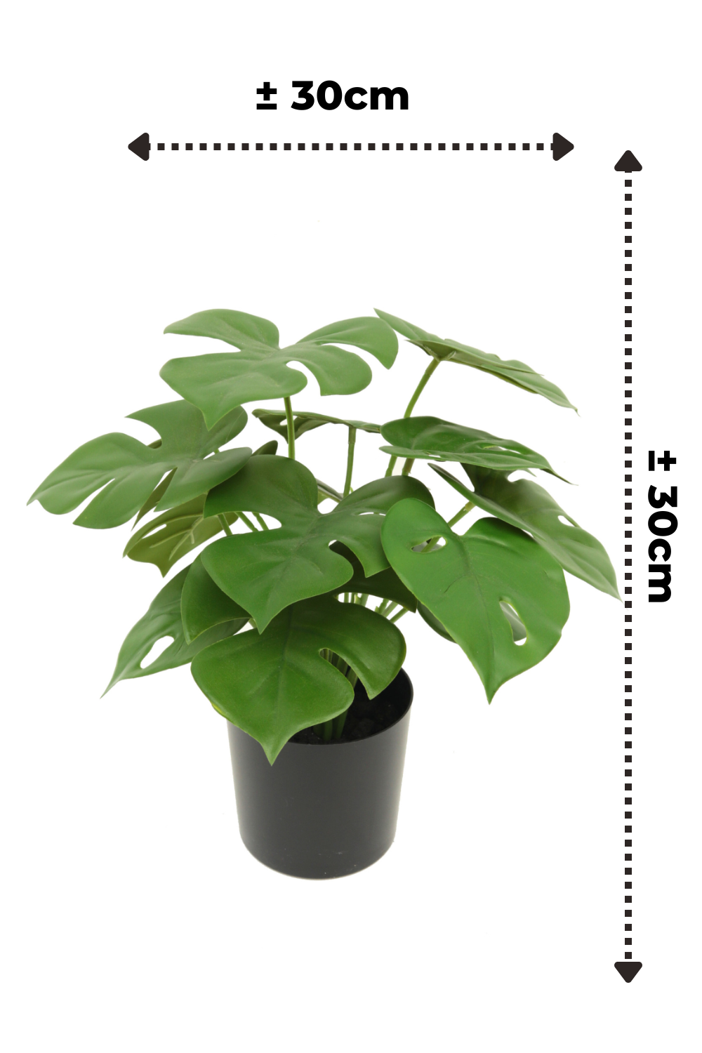 afmetingen monstera kunstplant 30cm