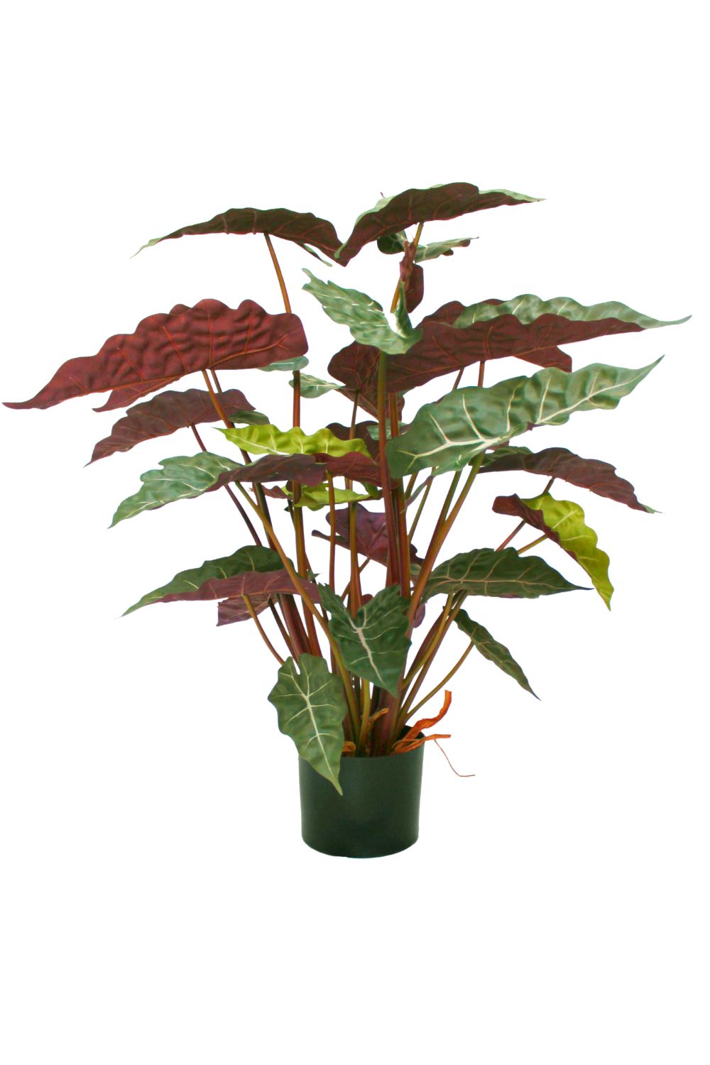 Alocasia Kunstplant 80cm