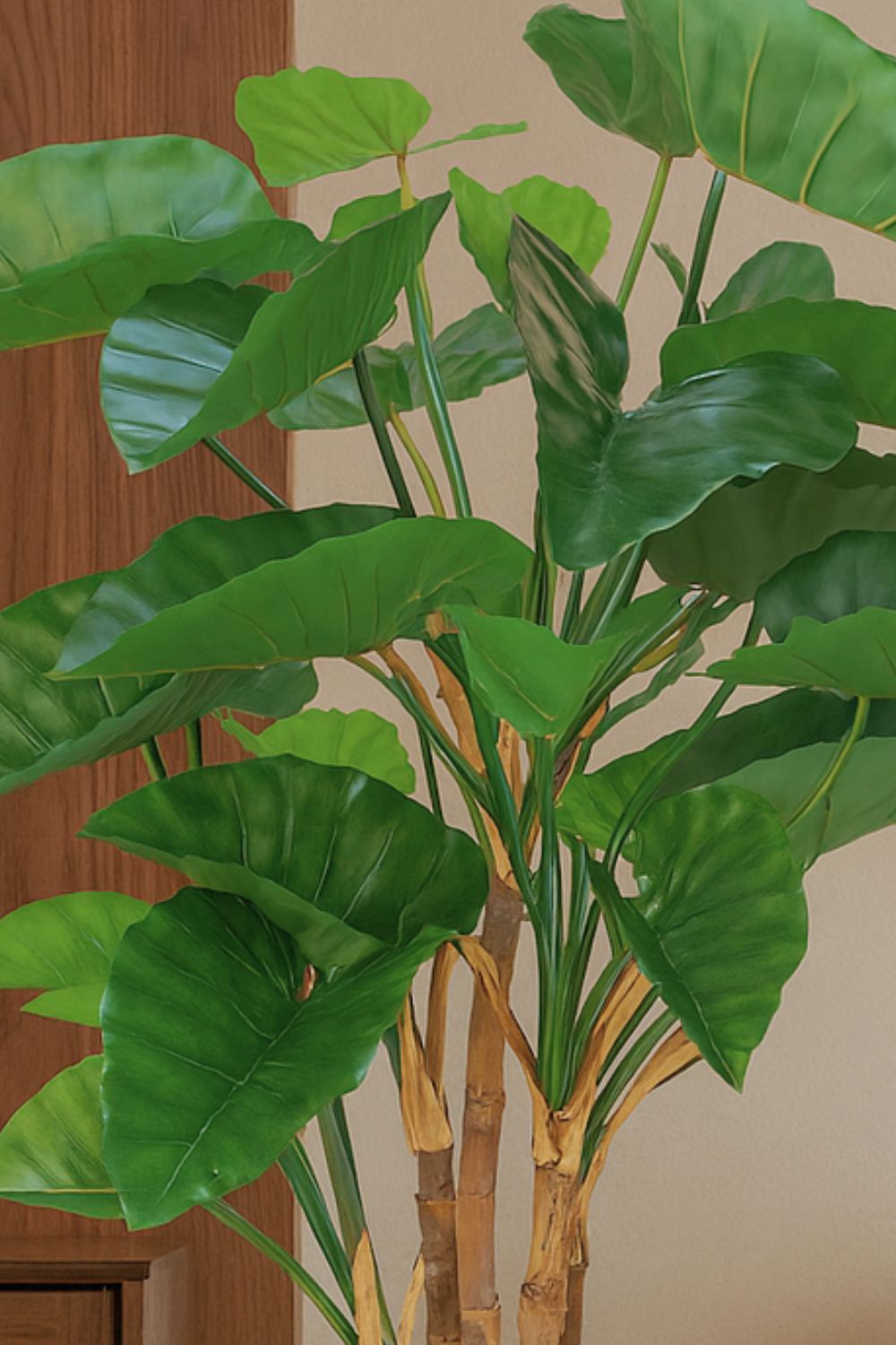 Alocasia Kunstplant 165cm