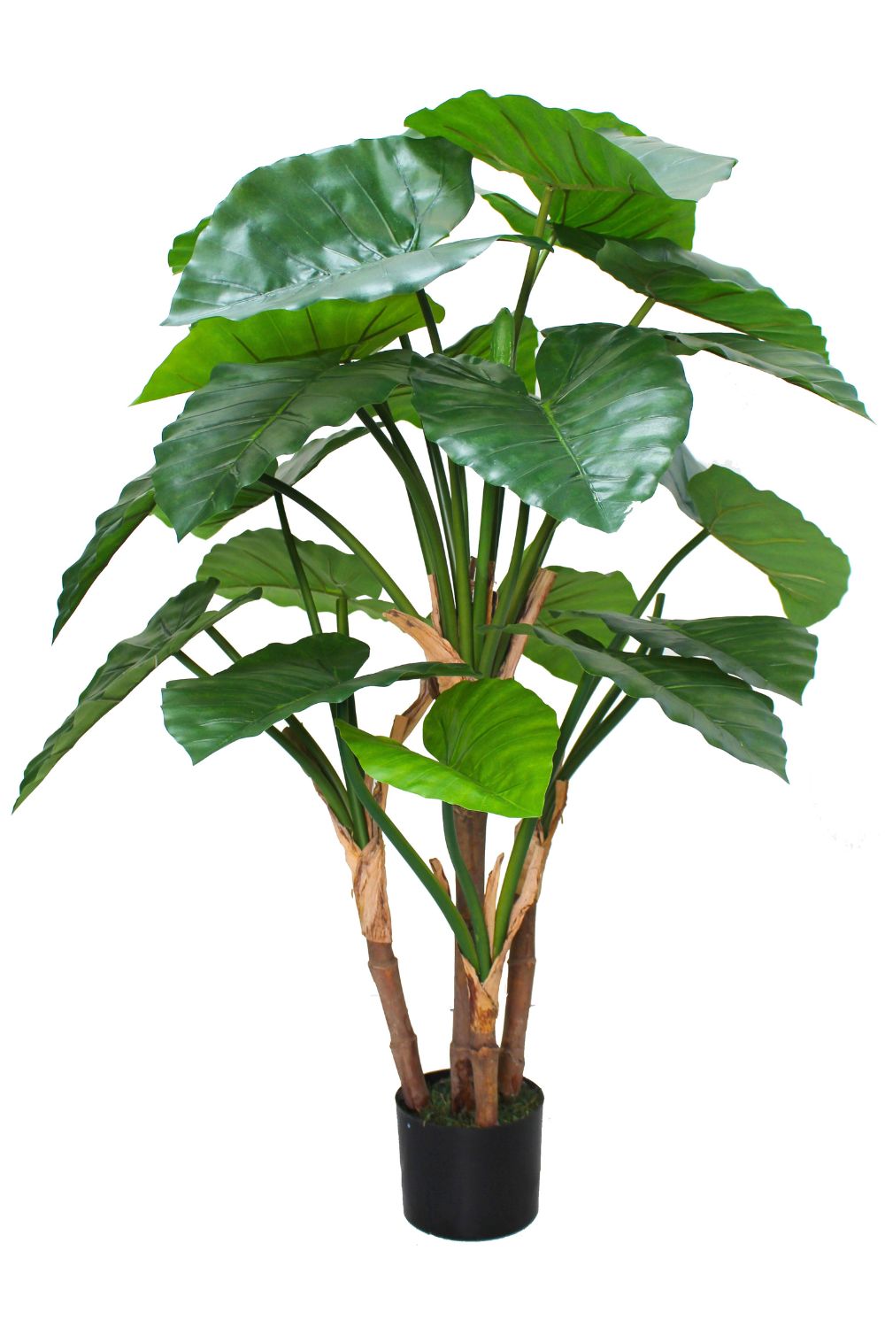 Alocasia Kunstplant 140cm