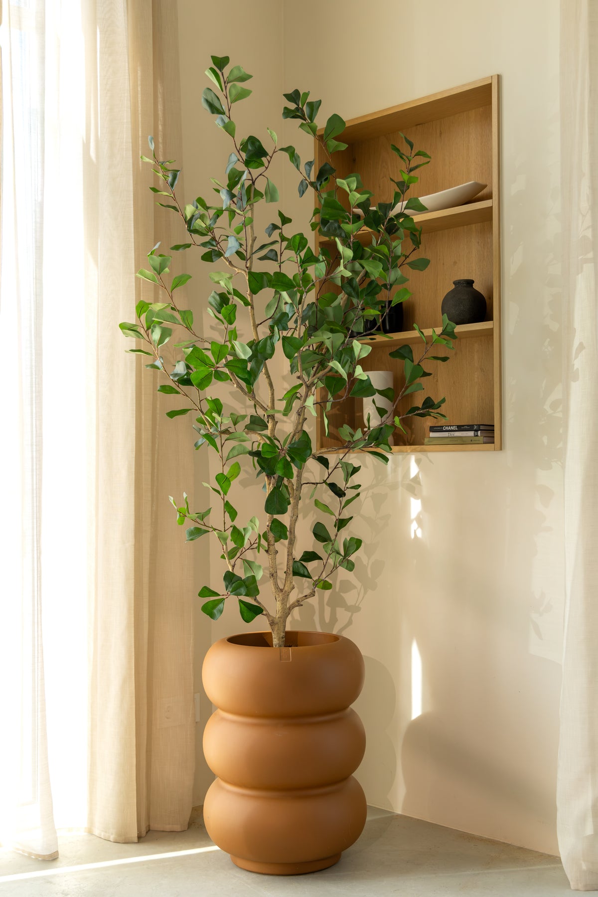 Ficus triangularis kunstplant van 180cm in woonkamer