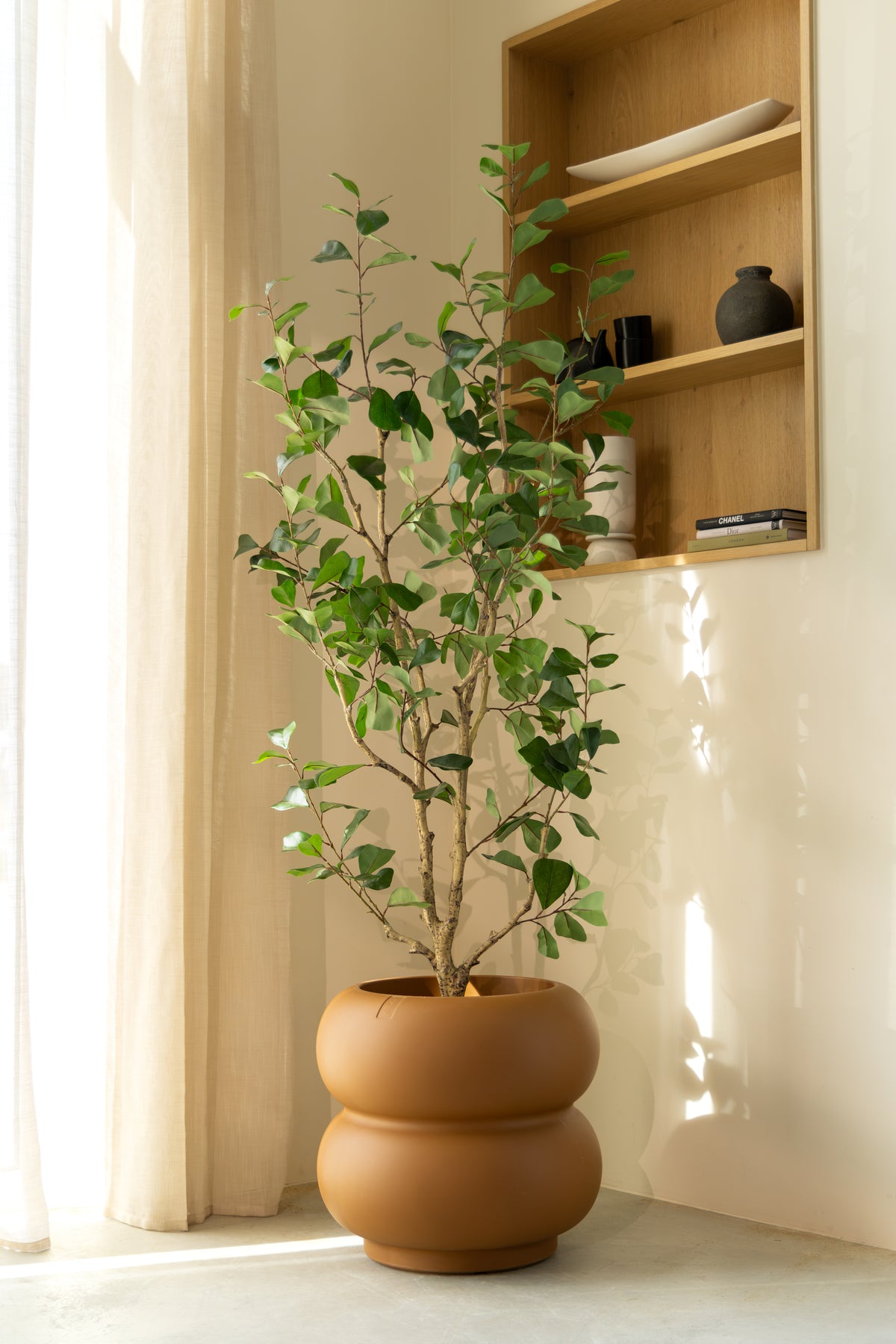 Ficus Triangularis Kunstplant 150cm