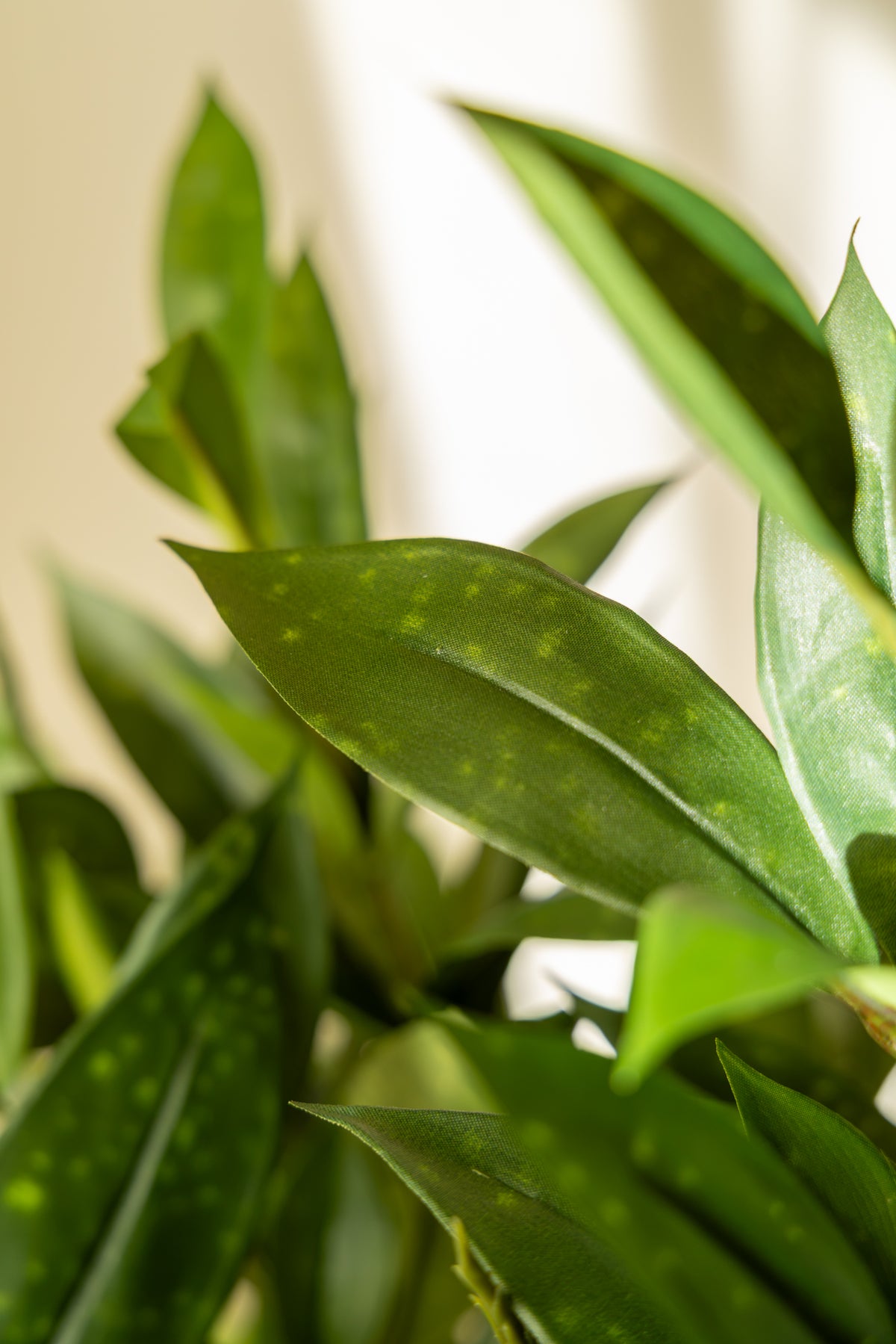 Dracaena Surculosa Kunstplant 120cm