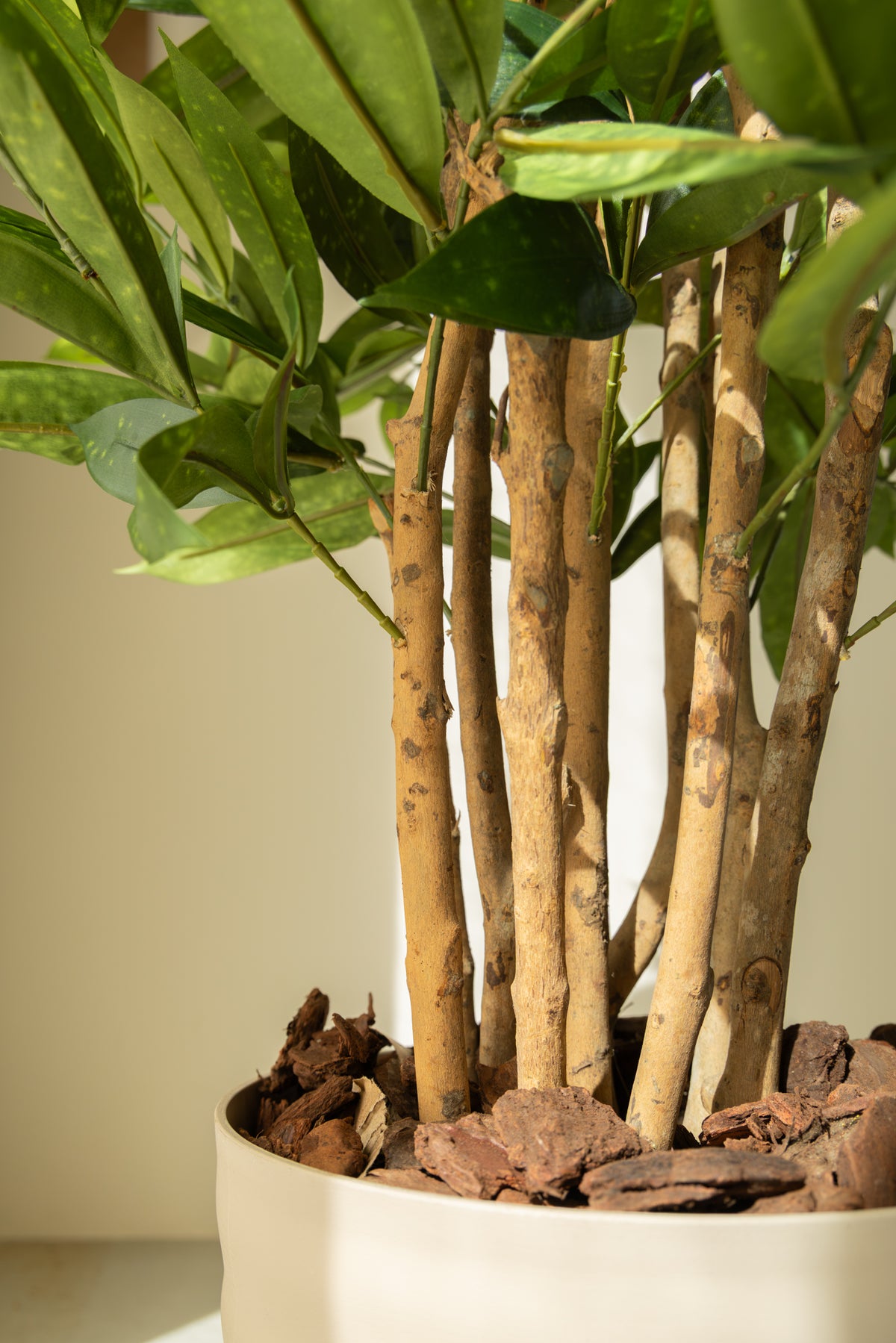 Dracaena Surculosa Kunstplant 120cm