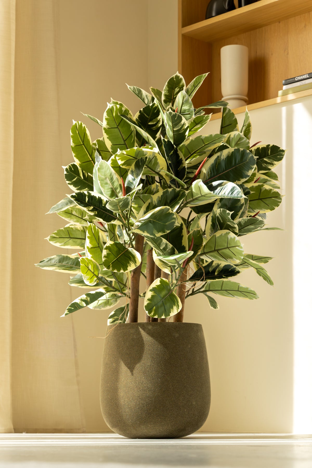 Ficus Elastica Kunstplant 90cm