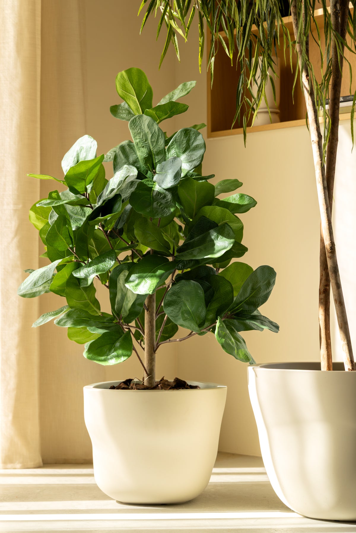Ficus Kunstplant 90cm
