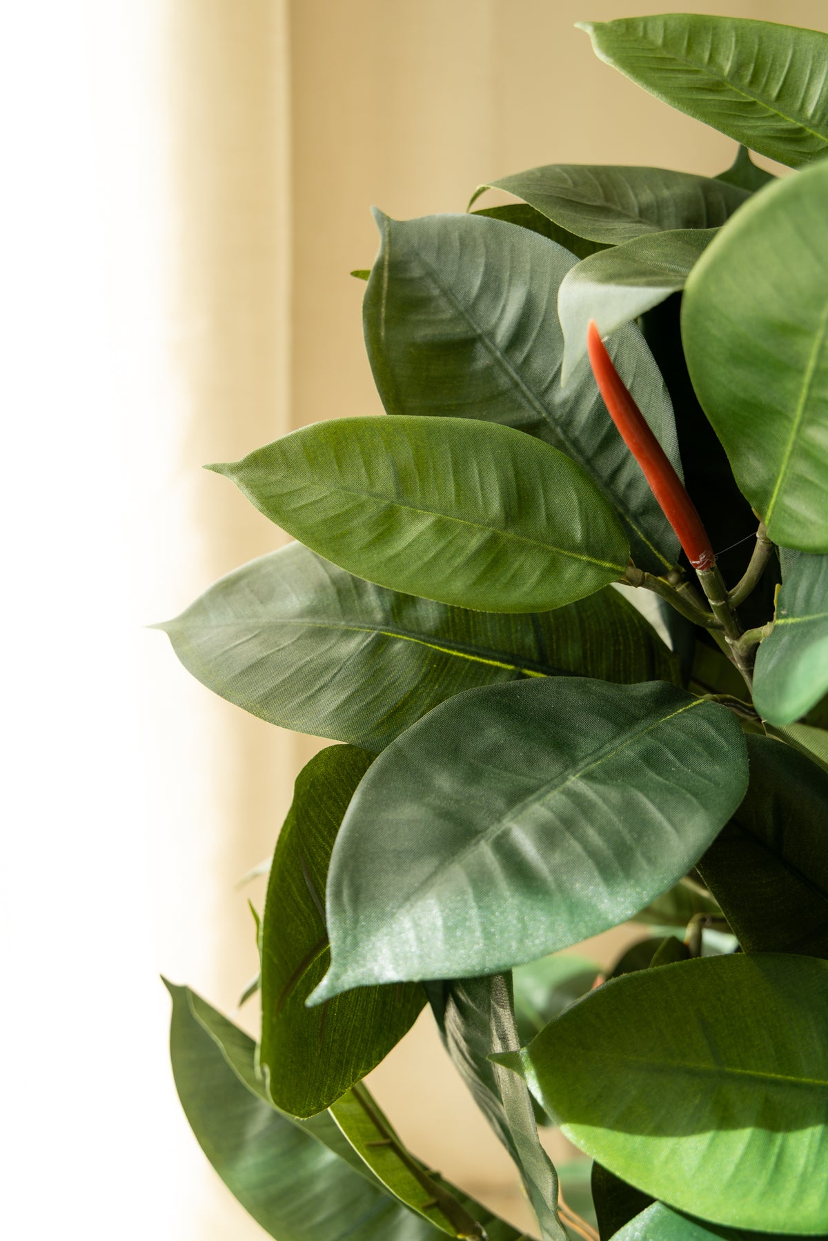Ficus Elastica Kunstplant 90cm