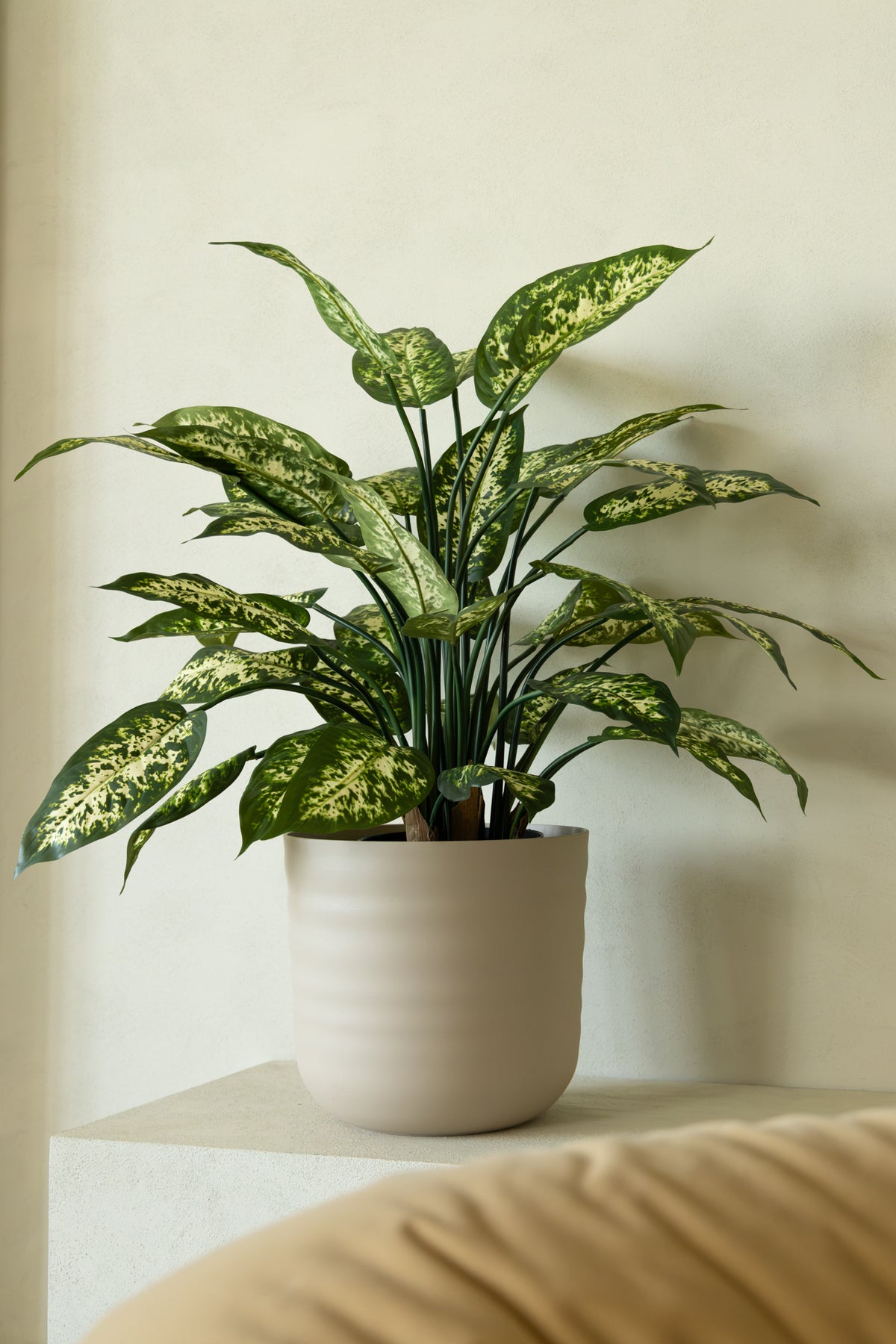 Dieffenbachia Kunstplant 70cm