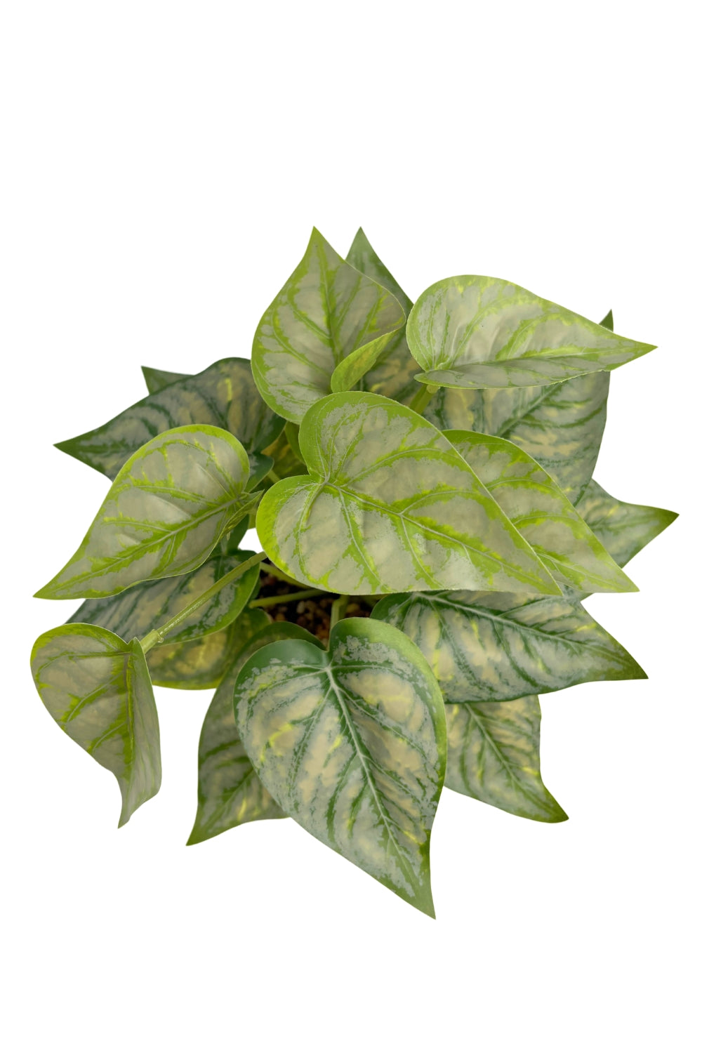 Caladium Kunstplant 32cm