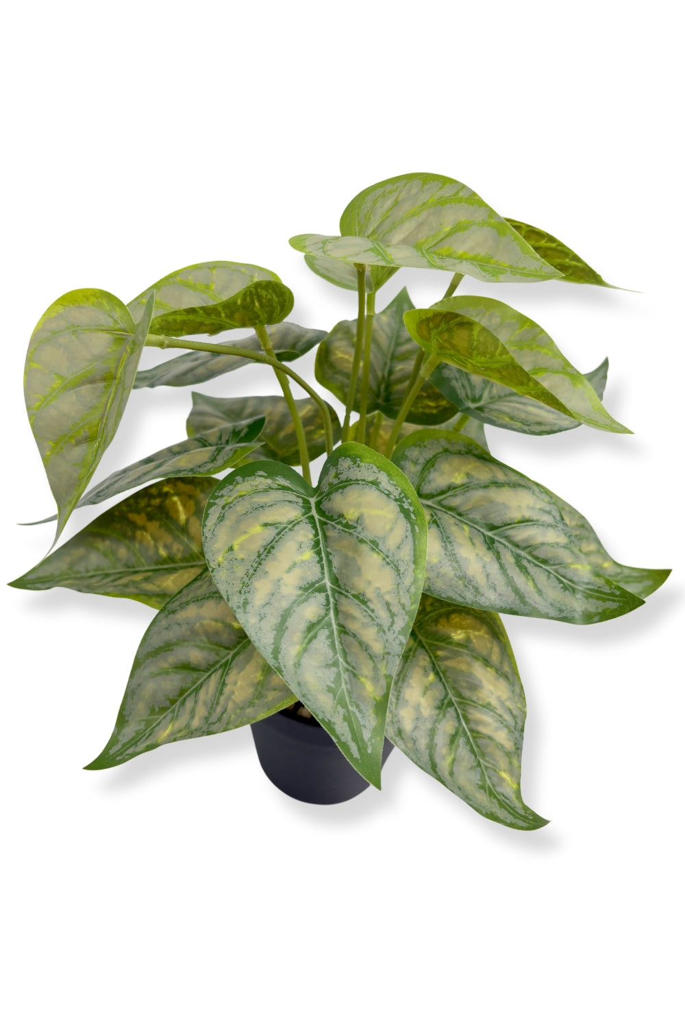 Caladium Kunstplant 32cm