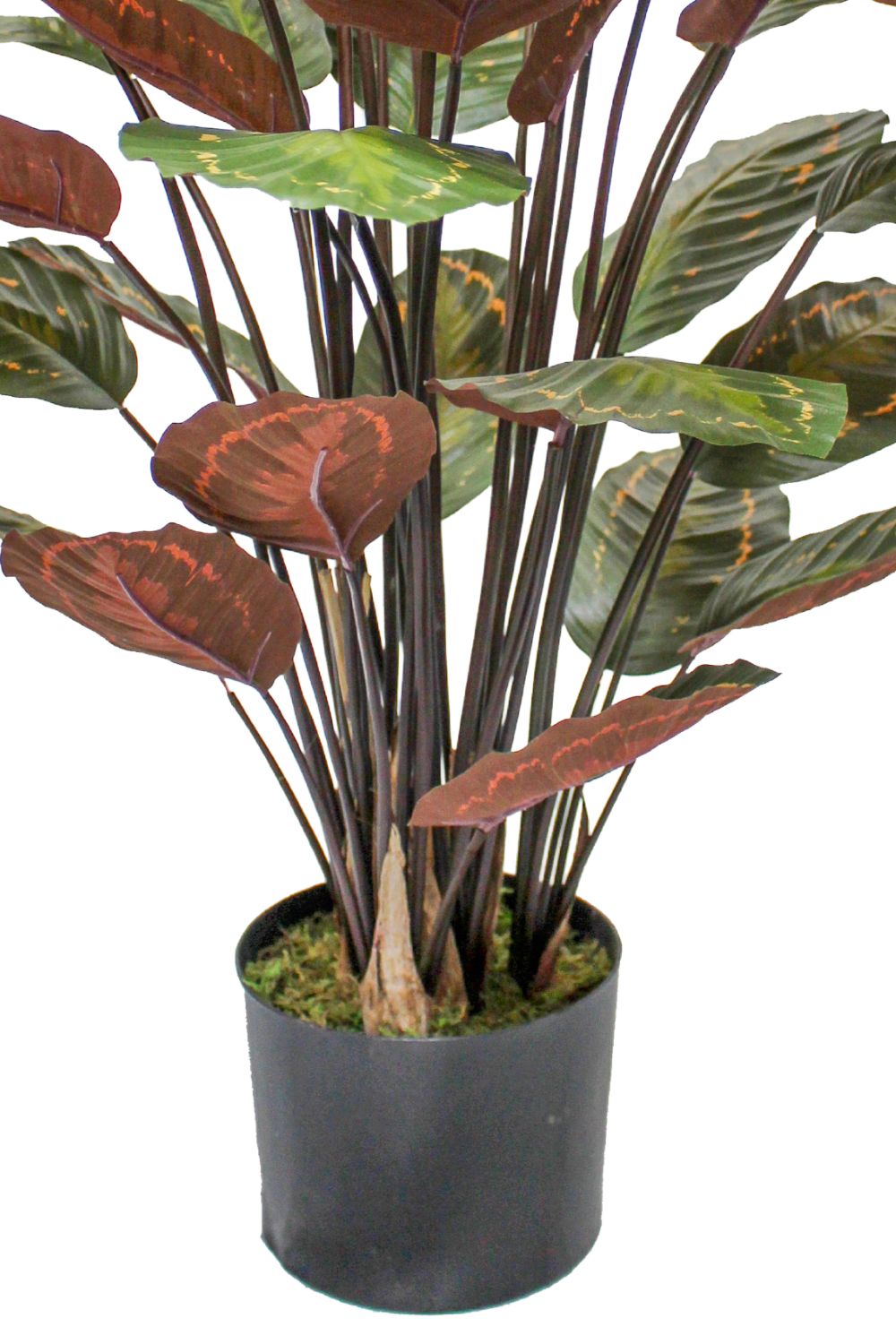 onderkant calathea kunstplant 90cm\
