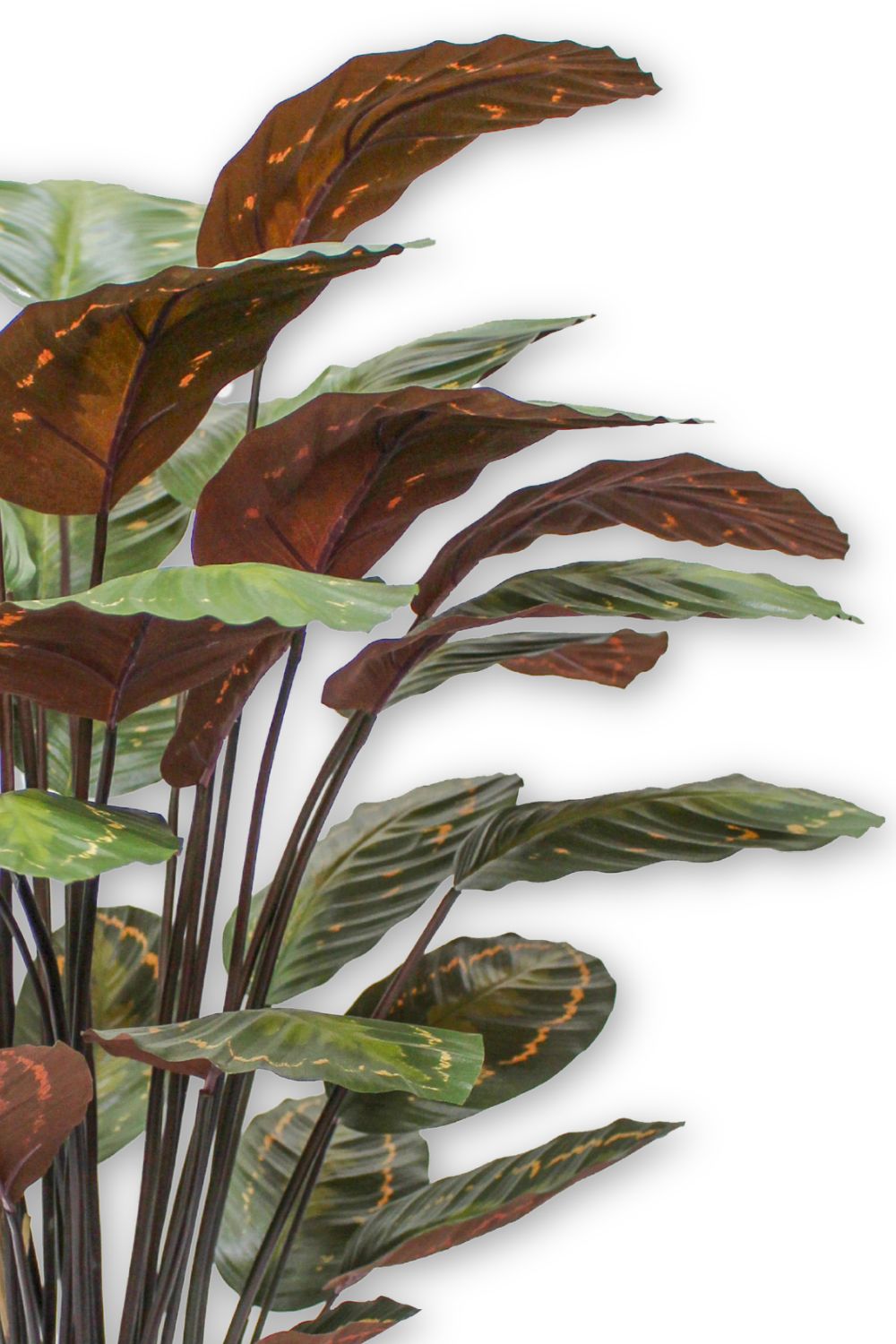 details bladeren calathea kunstplant 90cm