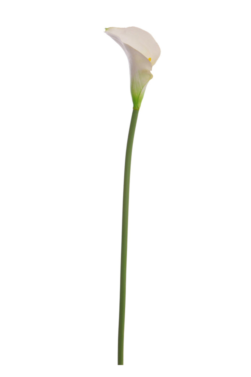Calla Kunstbloem 58cm crème wit