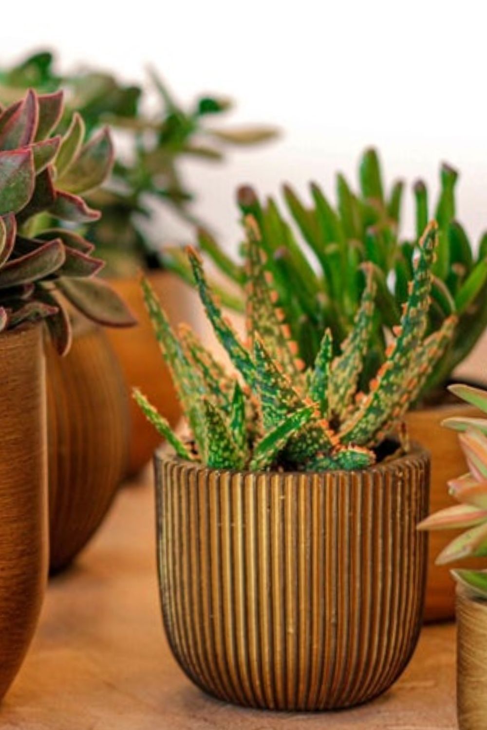 Capi bloempot Groove bol 14x13 zwart/goud