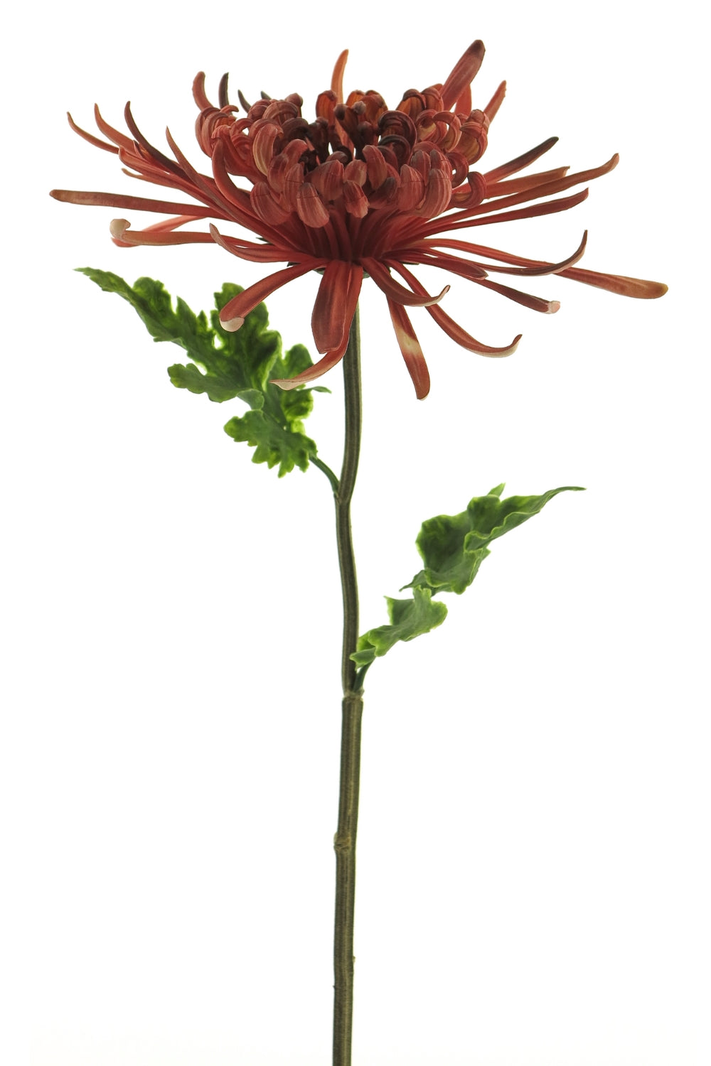 Chrysant Monaco Kunstbloem 68cm Burgundy
