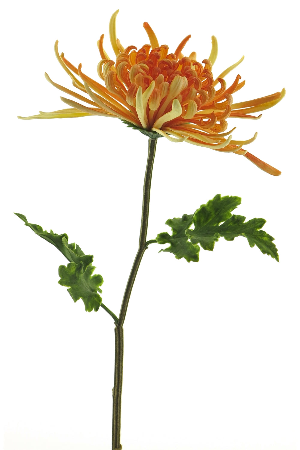 Chrysant Monaco Kunstbloem 68cm Perzik
