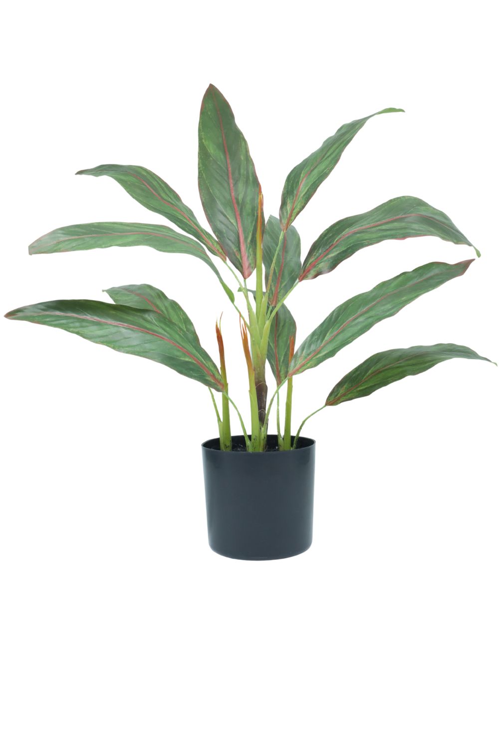 Cordyline Kunstplant 50cm - prettyplants