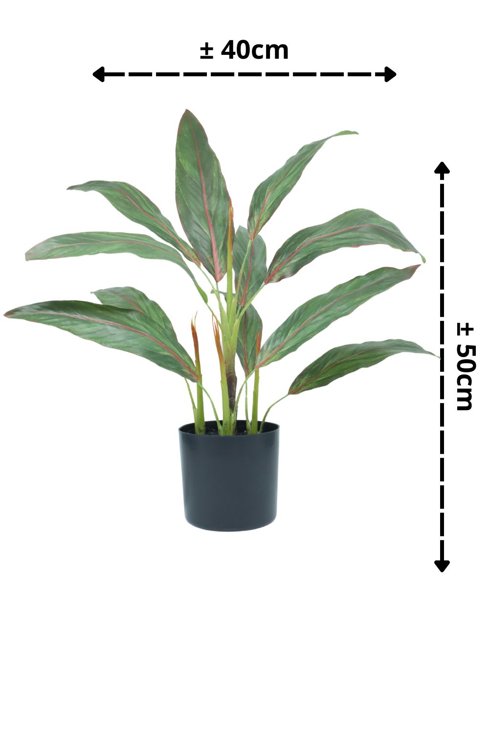 Cordyline Kunstplant 50cm - prettyplants