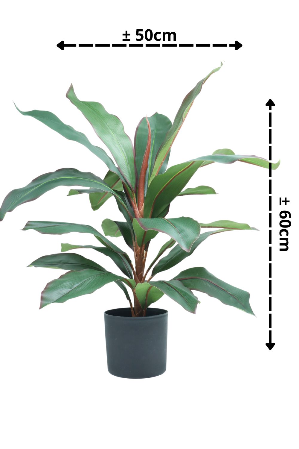 Dracaena Kunstplant 60cm - prettyplants