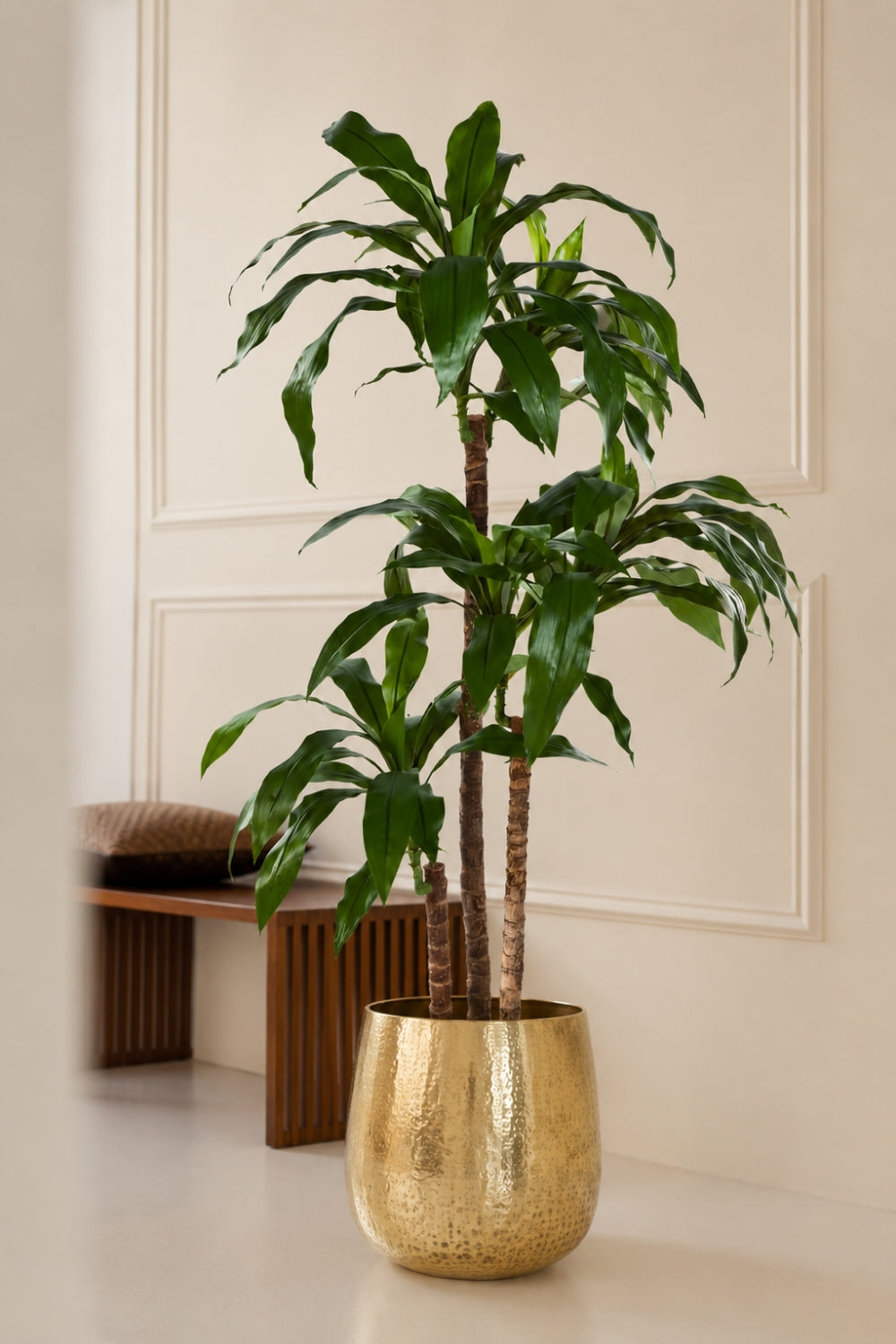 Dracaena Fragans Kunstplant 120cm