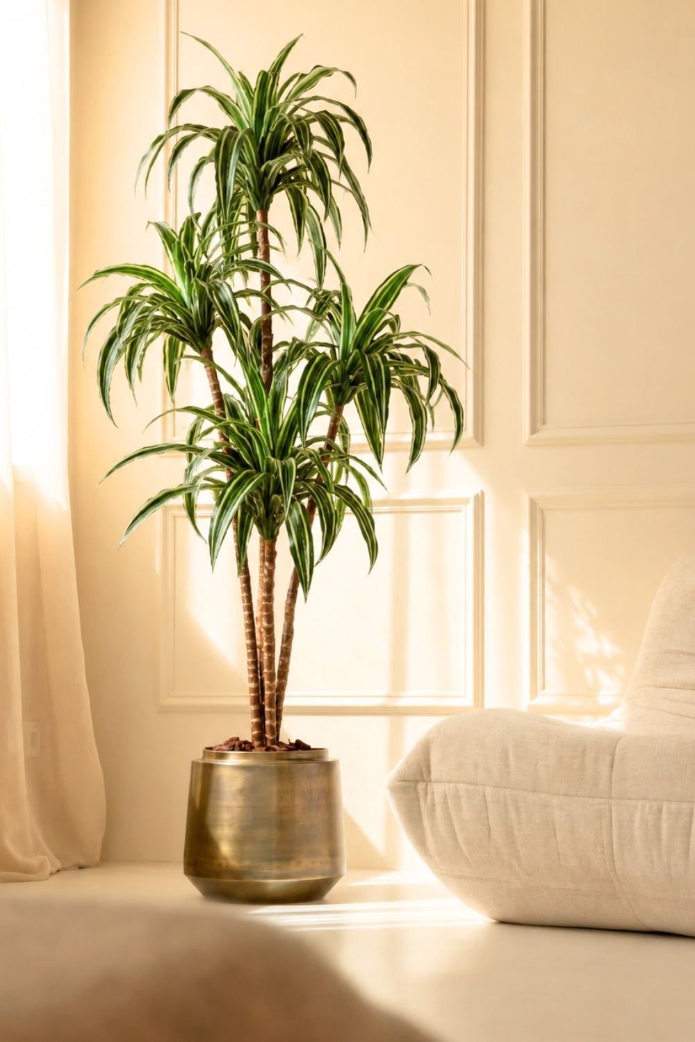 Dracaena Kunstplant 150cm