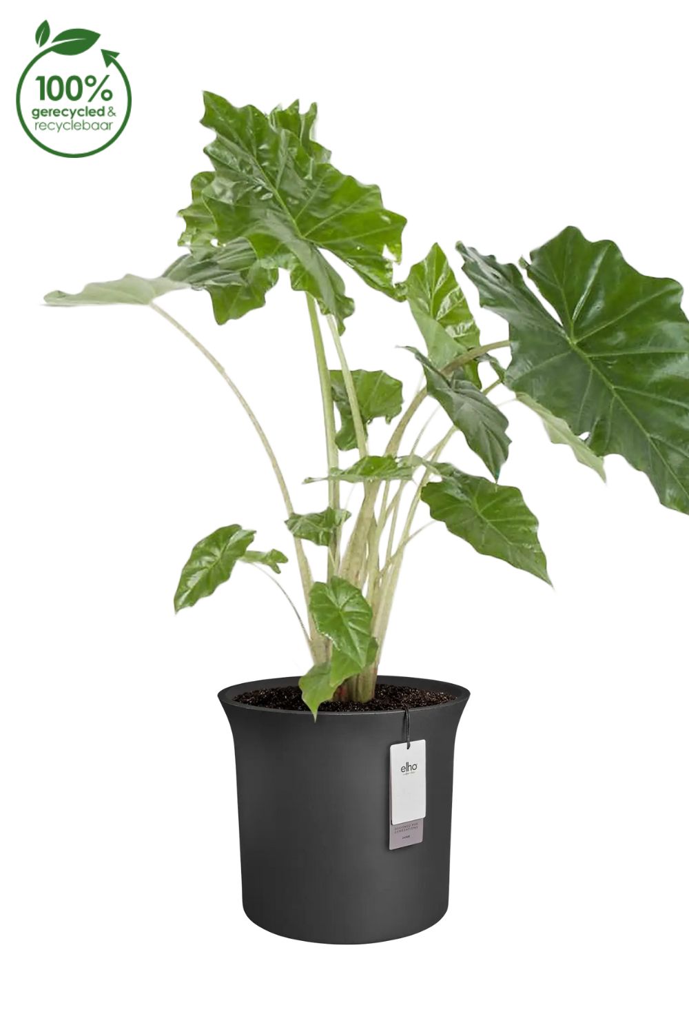 Bloempot Elho June tulip 47cm zwart