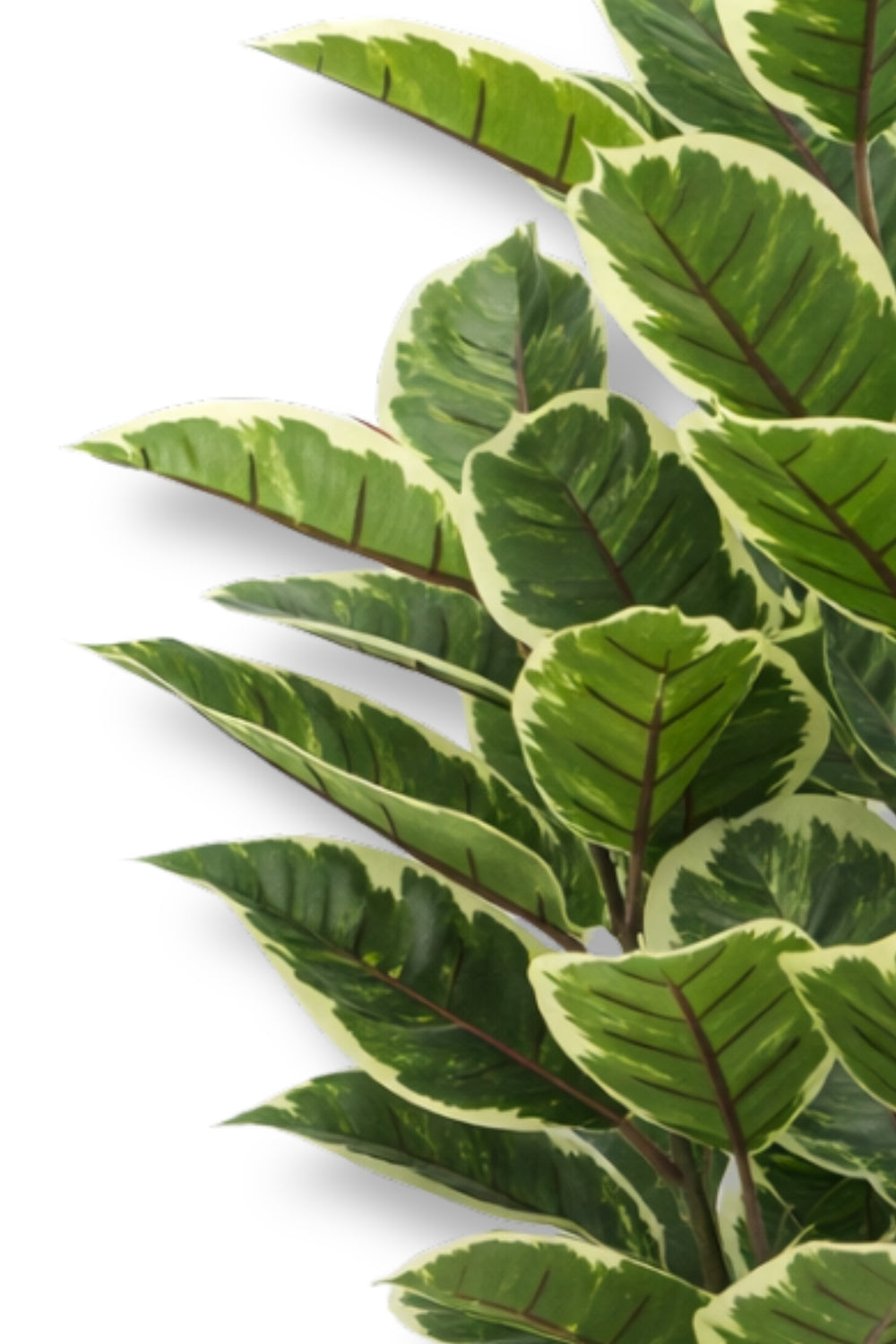 Ficus Kunstplant 120cm