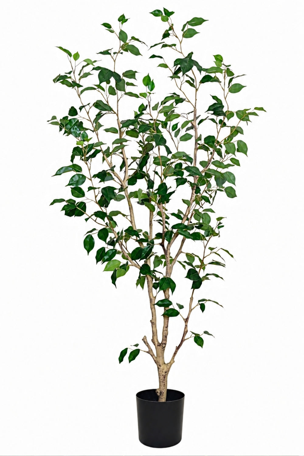 Pre-Order Ficus Kunstplant 150cm Deluxe