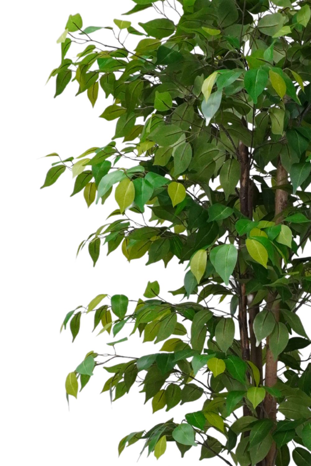 Ficus Kunstplant 180cm