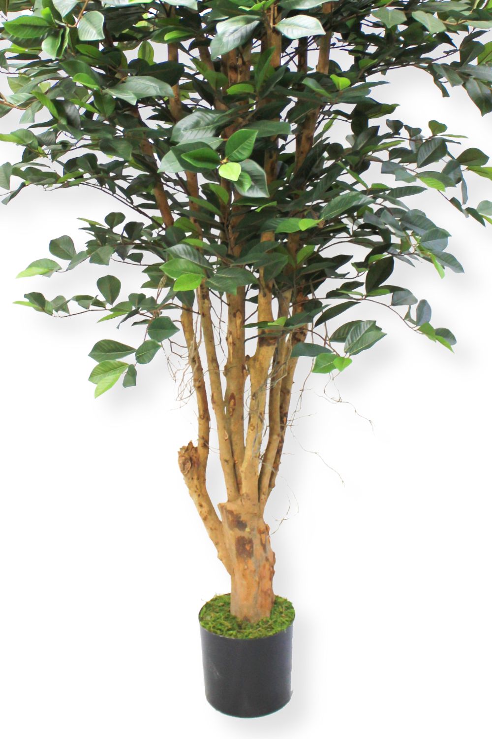 stam ficus kunstplant 180cm