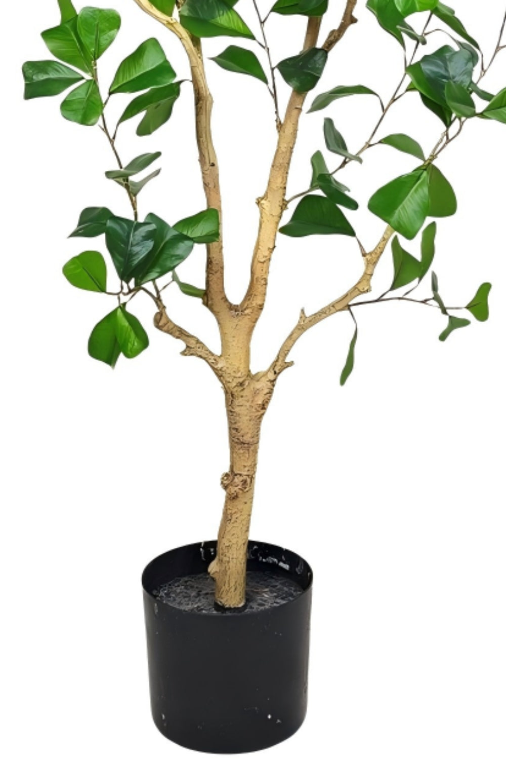Pre-order Ficus Triangularis Kunstplant 150cm