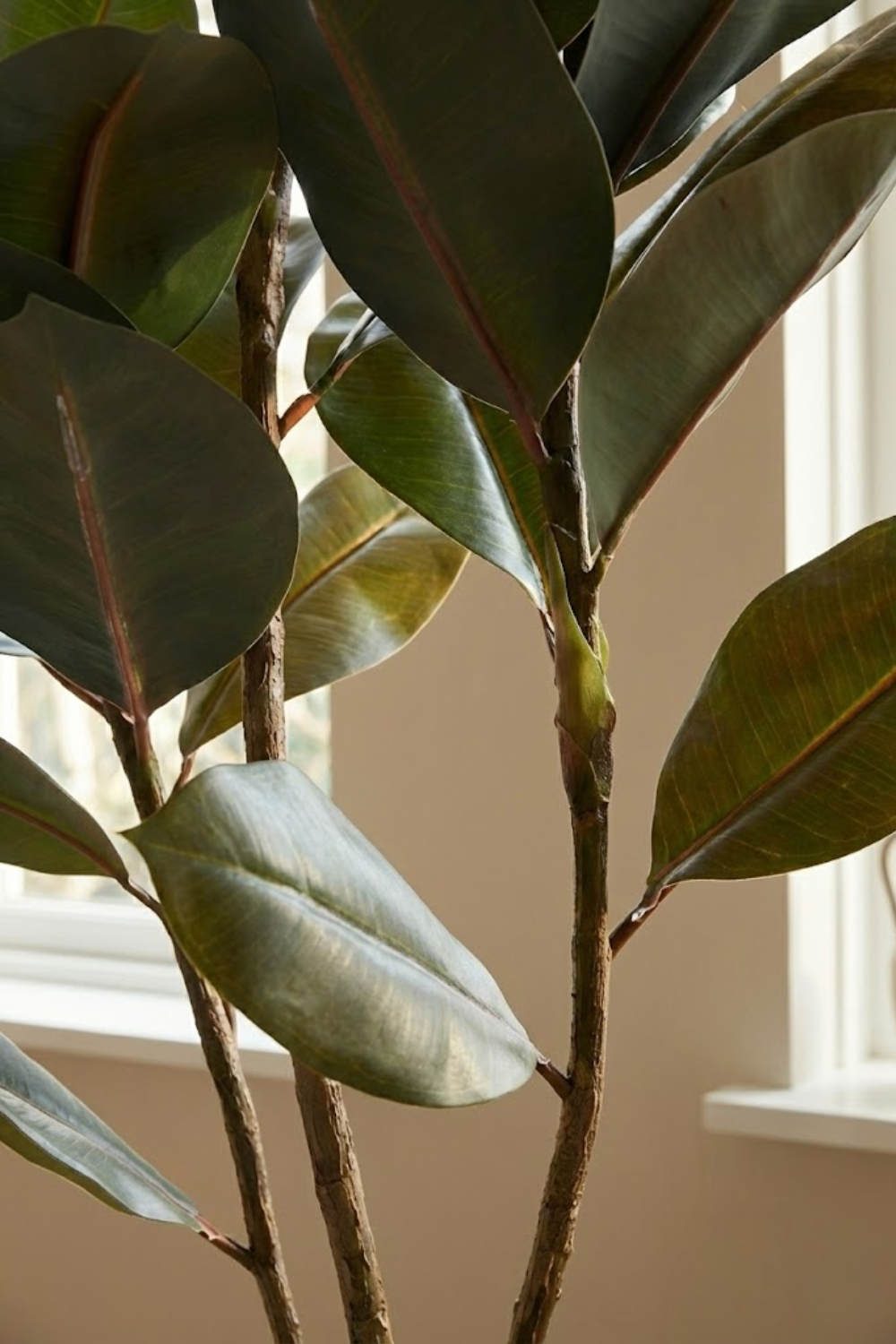 Ficus Elastica Kunstplant 105cm