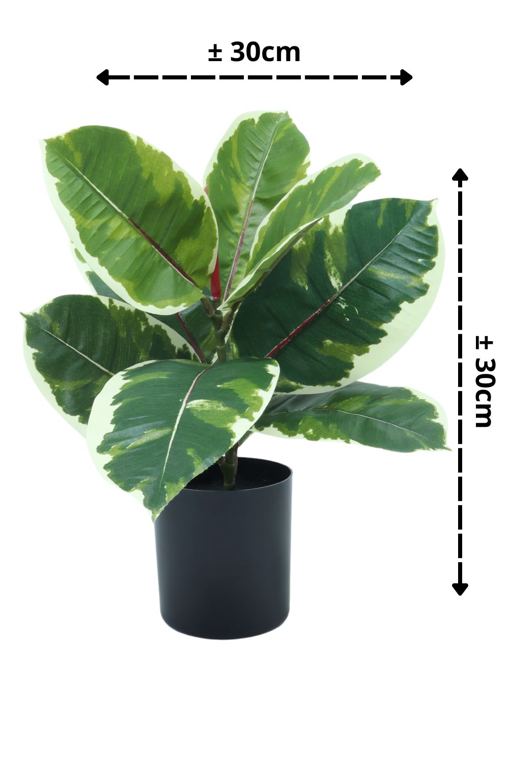 Ficus Elastica Kunstplant 30cm - prettyplants