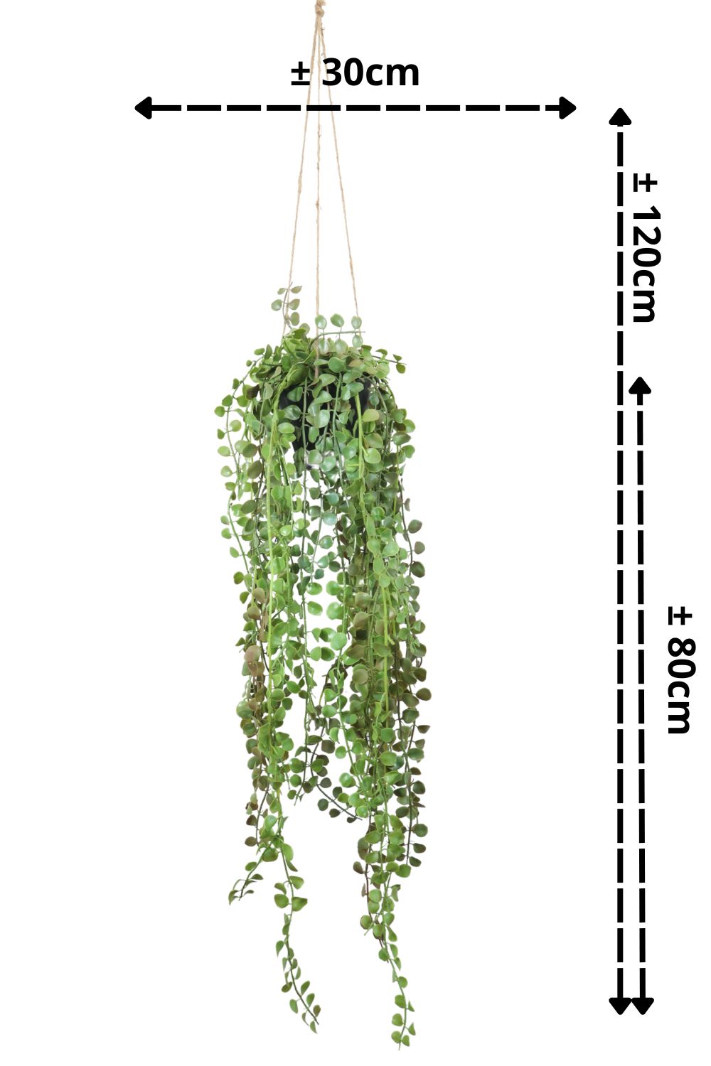 Ficus Pumilla Kunst Hangplant 70cm - prettyplants