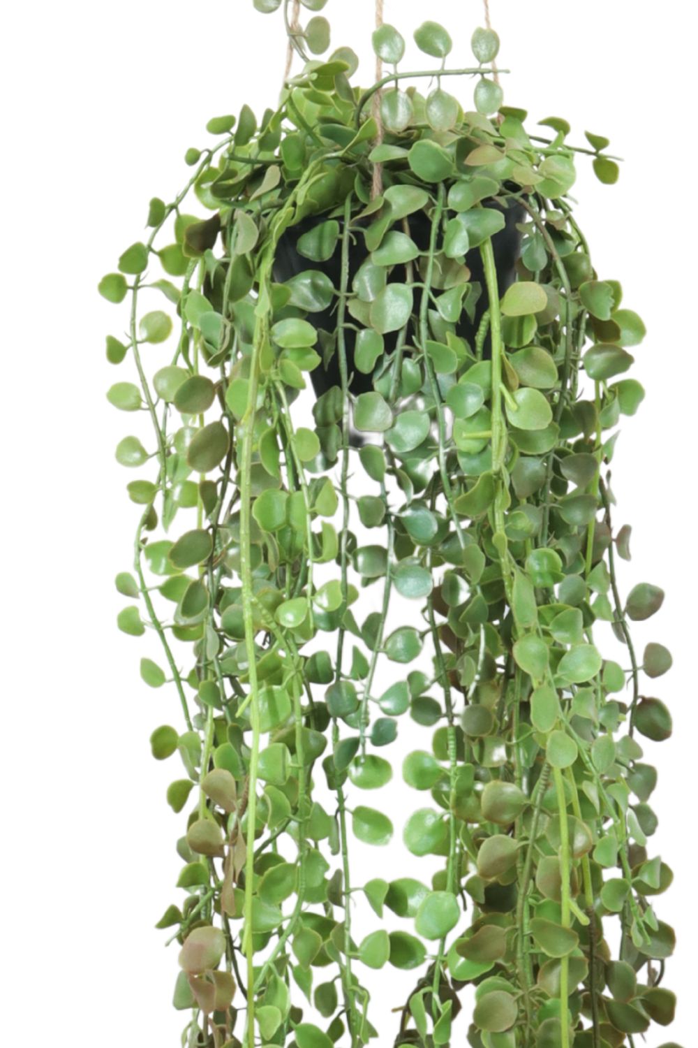 Ficus Pumilla Kunst Hangplant 70cm - foto van dichtbij - prettyplants