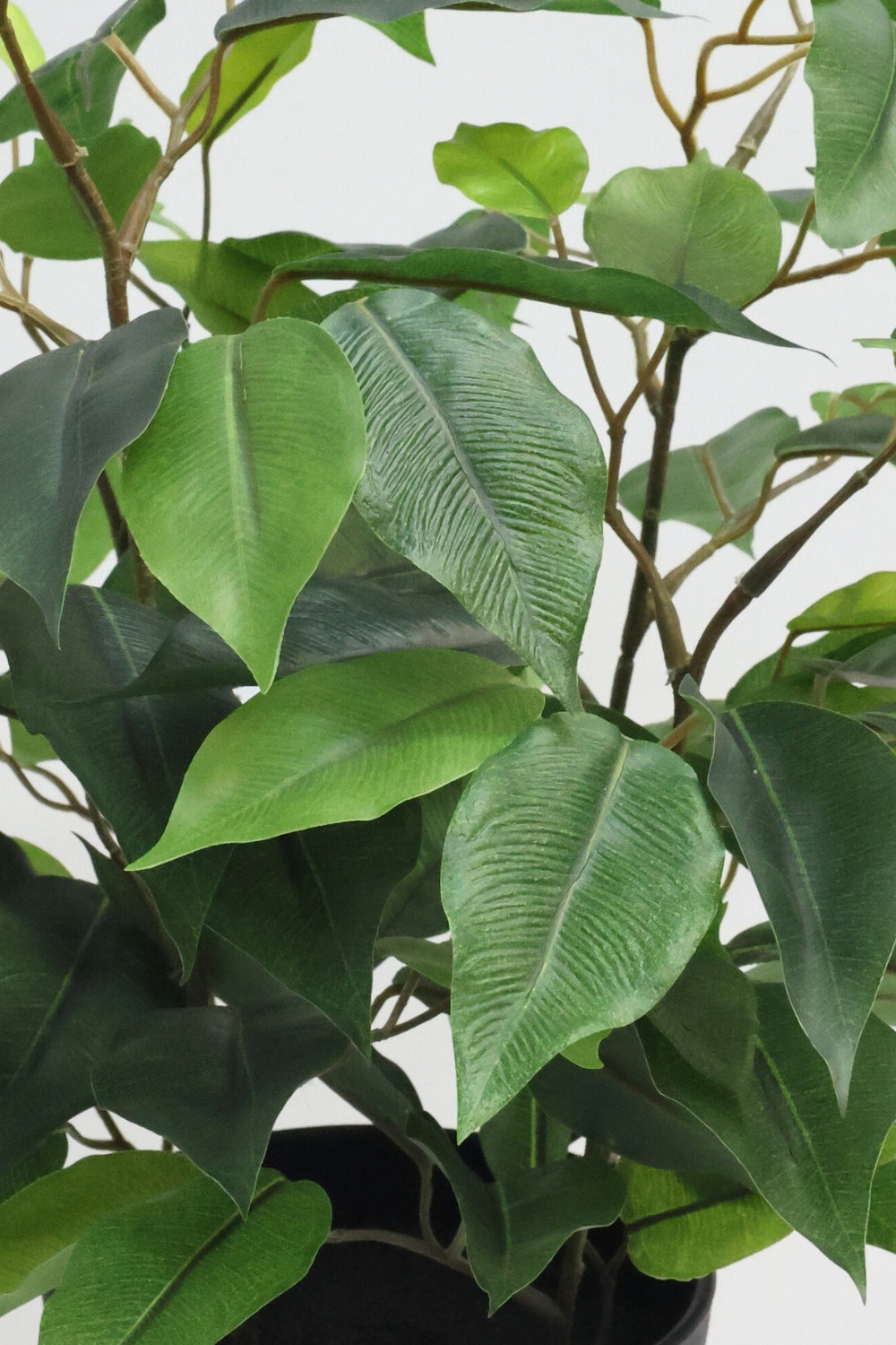 Ficus Kunstplant 40cm