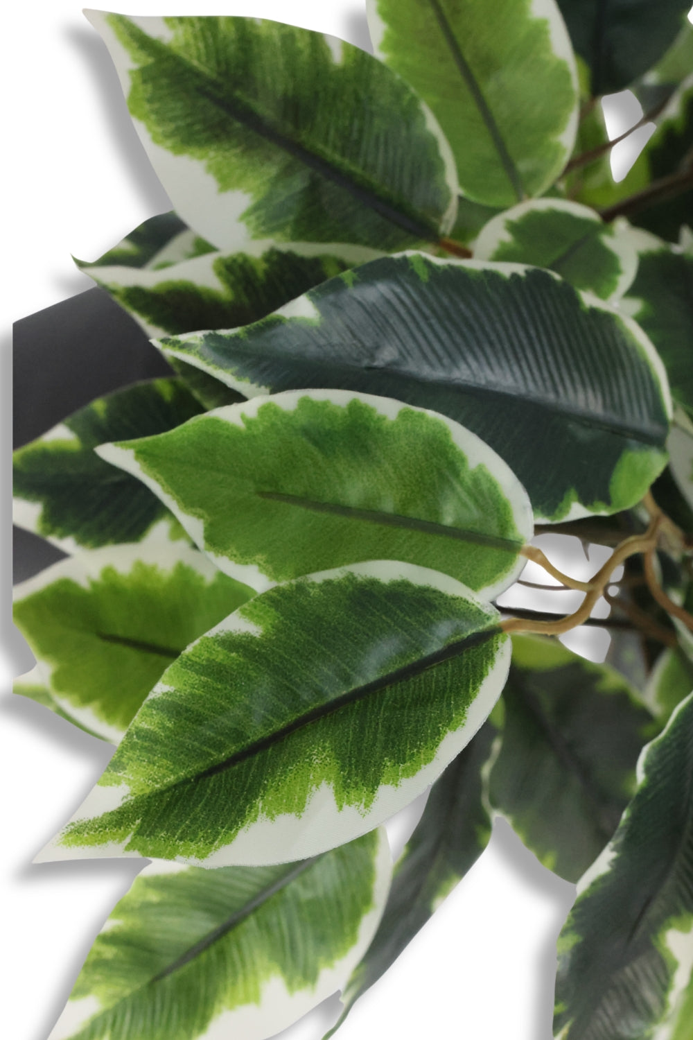 Ficus Kunstplant 40cm