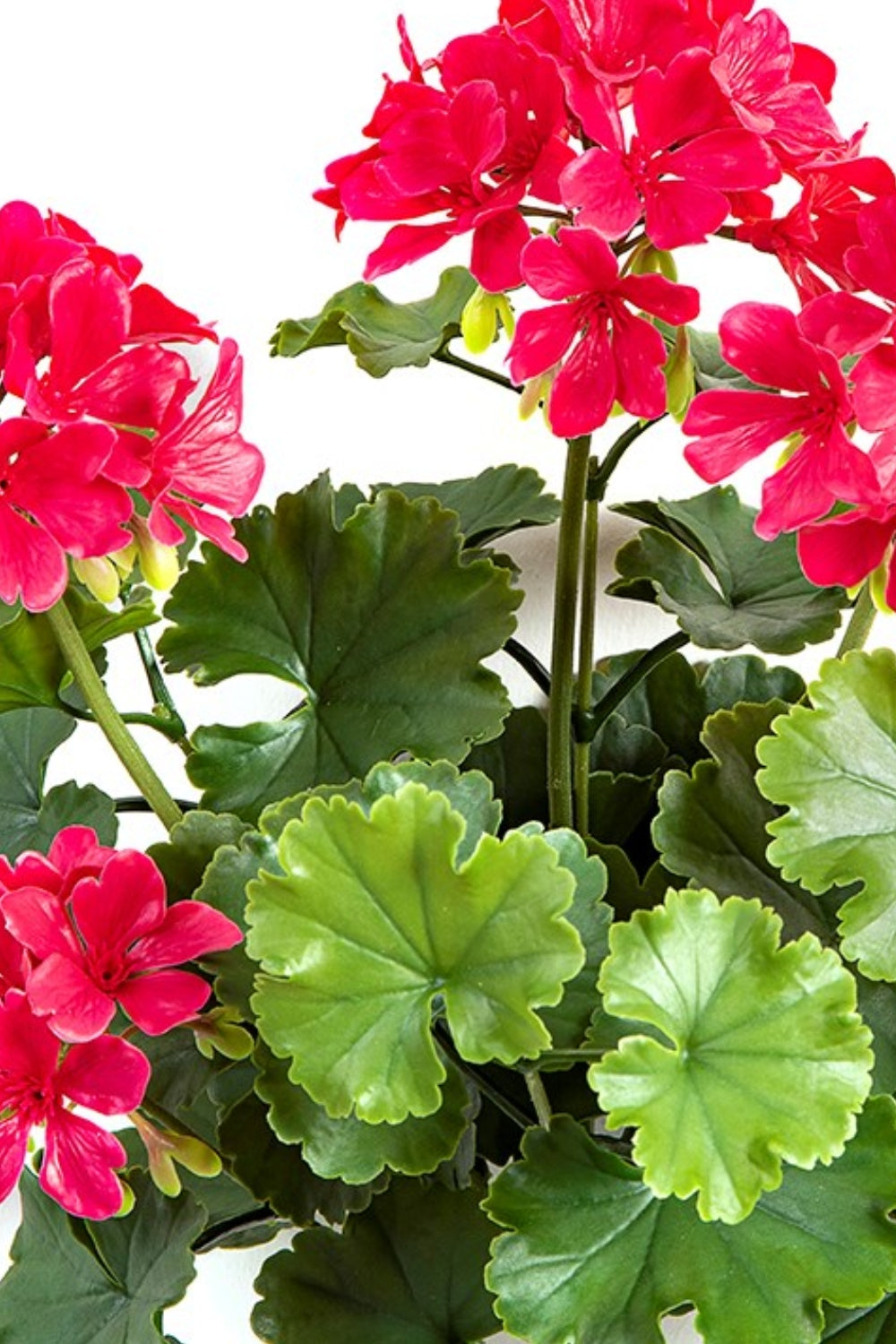 Geranium Kunststeker 40cm UV