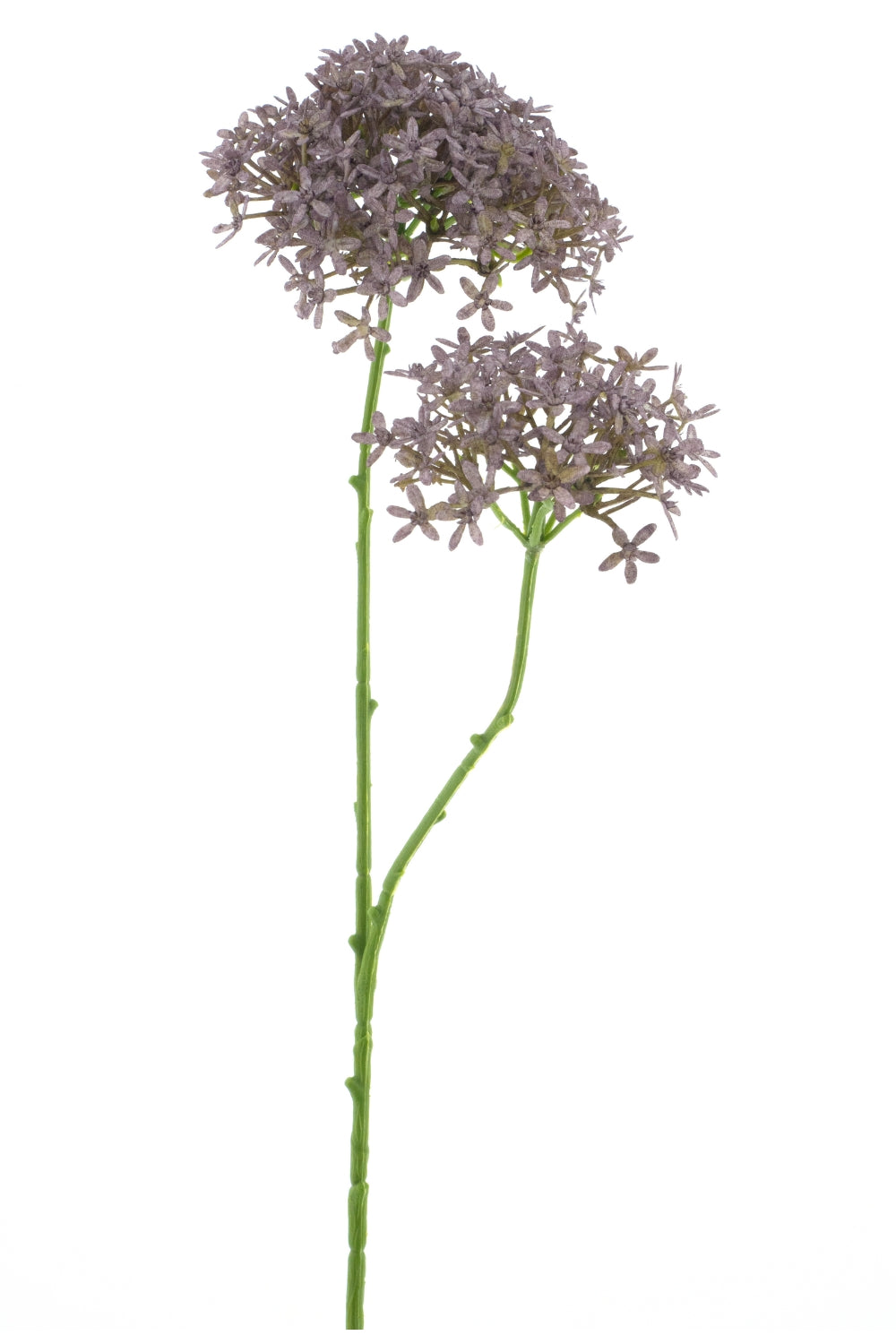 Kroonbloem 70cm Paars