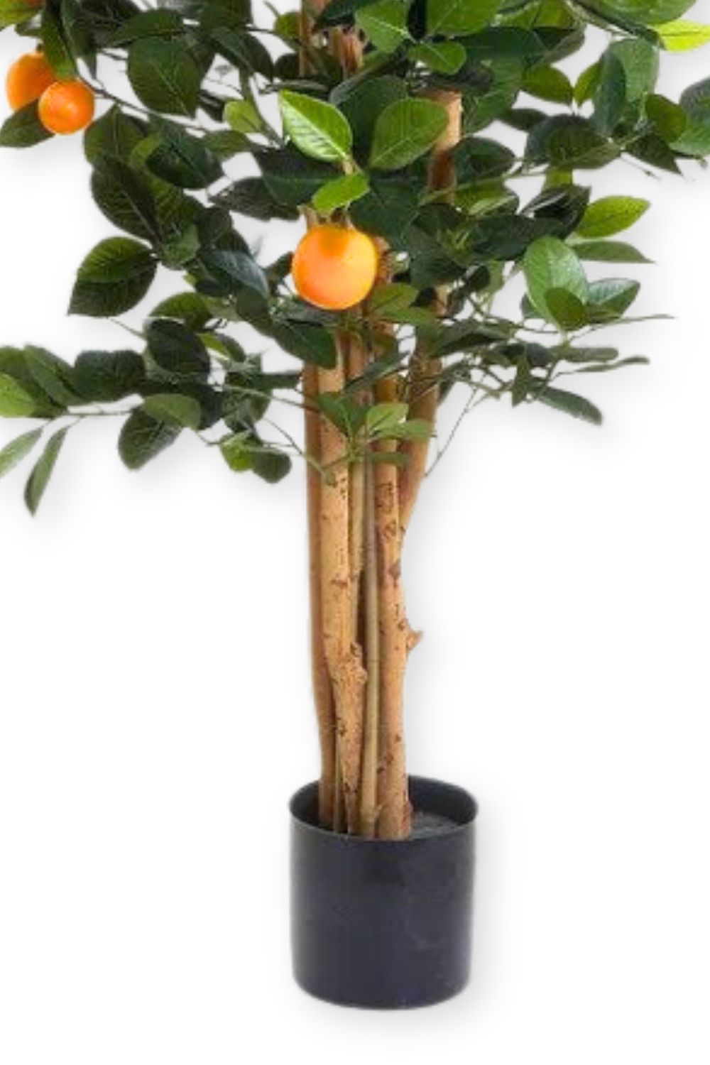 stam kunst sinaasappelboom 120cm