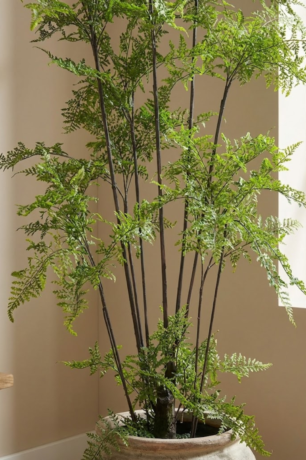 Kunst Ledervaren 150cm