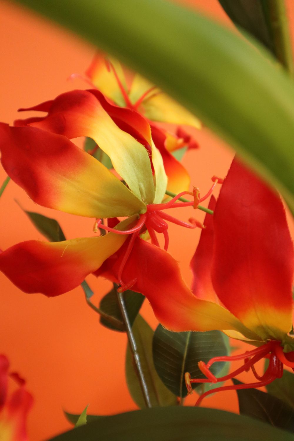 Details Glorious Gloriosa Kunstboeket