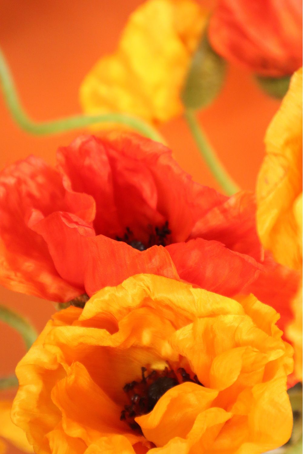 detailshot 3 Kunstboeket Poppy Paradise