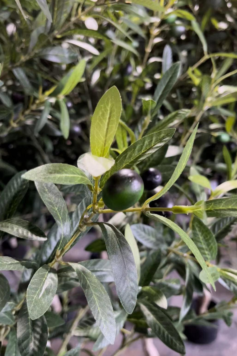 details kunst olijfboom 120cm