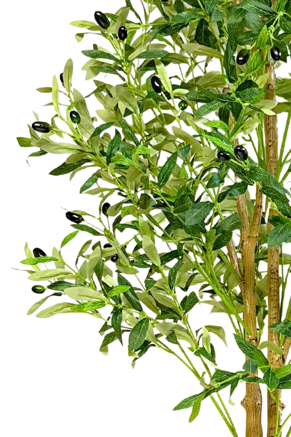 zijkant details kunst olijfboom 180cm