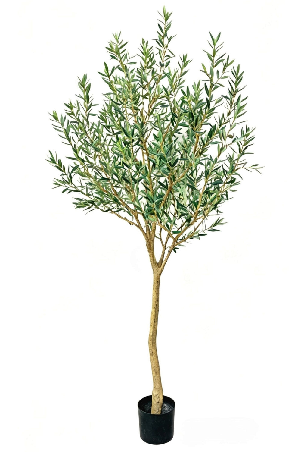 Pre-order Kunst Olijfboom 240cm