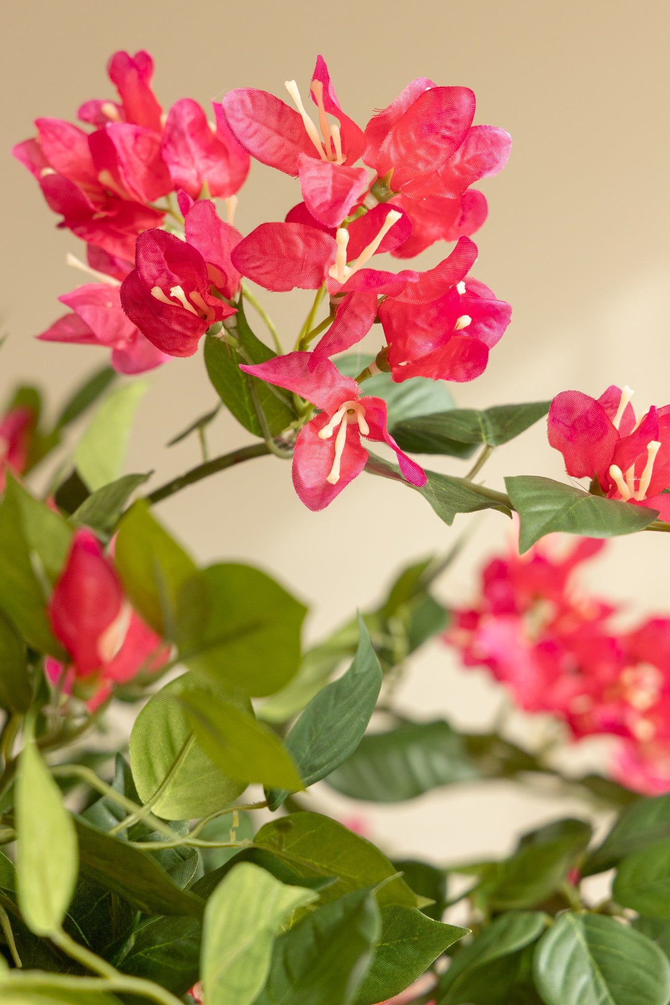 Bougainvillea Kunstplant 180cm