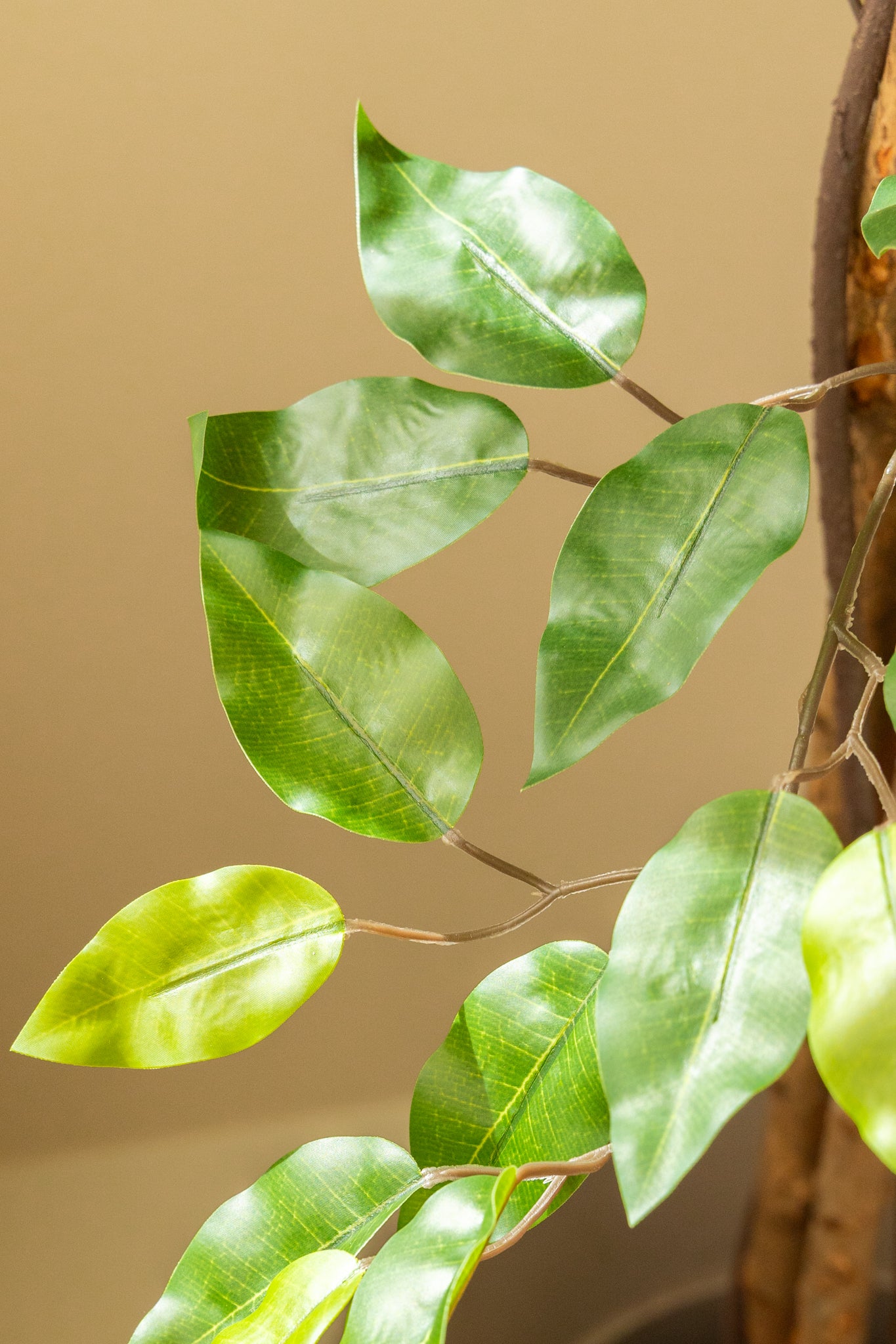 Ficus Kunstplant 180cm